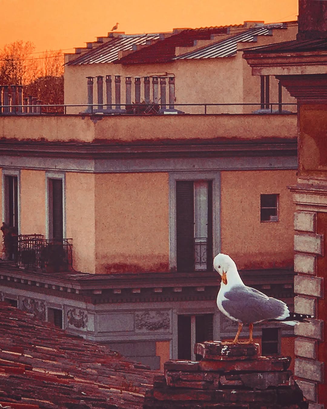 Florença